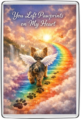 Rainbow bridge - 🐾🌈rainbow,