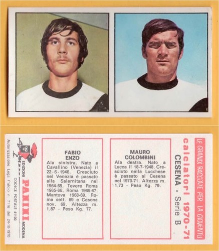 Figurina calciatori panini - figurina,