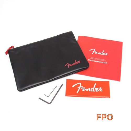 Fender logo case - fender,