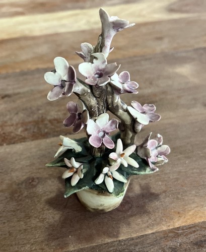 Visconti mollica capodimonte - mollica,