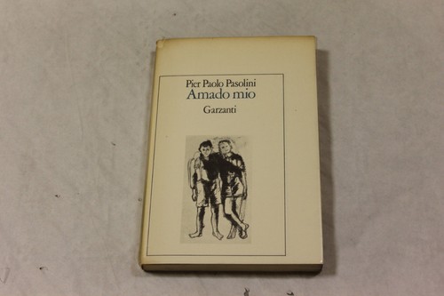 Amado mio