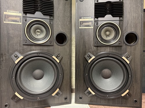 Pioneer 770 coppia - pioneer,