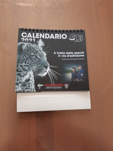 Calendario dell arma - calendario, dei
