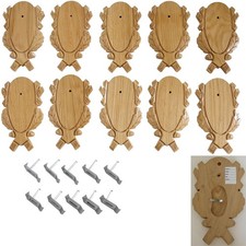 10 Pezzi Targhe Trofeo