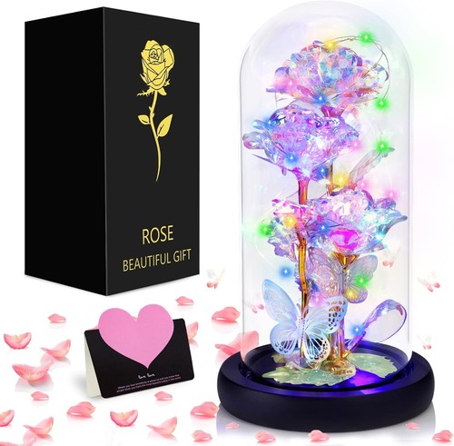 Rosa eterna bella la - rosa,