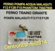 PERNO POMPA ACQUA  MALAGUTI