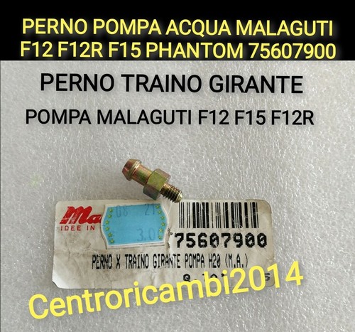 Perno pompa acqua - acqua,