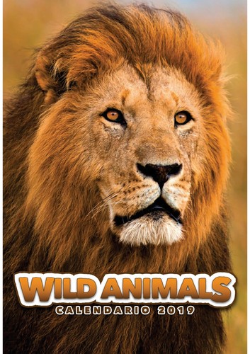 Wild animals calendario - calendario, da