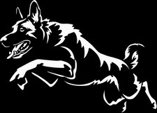 Adesivo MALINOIS - adesivo