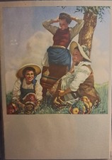 CARTOLINA PUBBLICITARIA BOCCASILE ASSICURAZIONE FIUME   NV FG