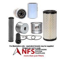 Nfs Filtro Kit Per Jcb 8014