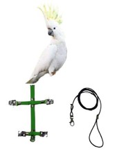 Pettorina pappagalli MISURA CACATUA elastica attacchi ACCIAIO sganciabili