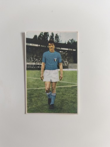 Figurina fotocalcio nannina - fotocalcio,