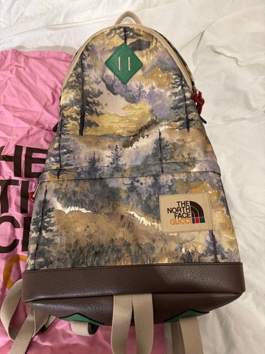 Gucci the north face mini - x,