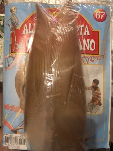Alla scoperta del - , umano