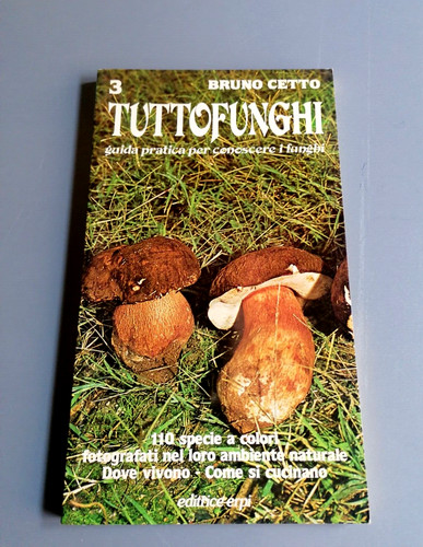 Tutto funghi guida pratica - tutto,