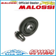 INGRANAGGI SECONDARI MALOSSI Z
