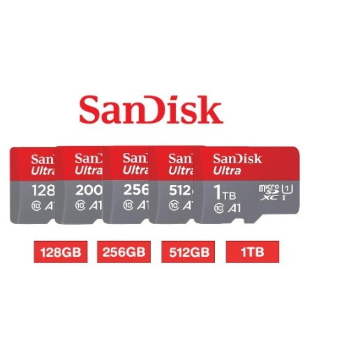 Scheda memoria sandisk - scheda, di