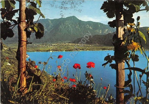 Cartolina postcard - -,