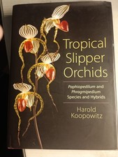 Tropical slipper orchids - tropical,