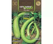 Semi di Zucca Pergola