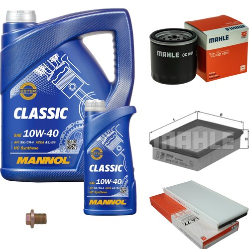 Pacchetto ispezione mahle l - mahle, 6