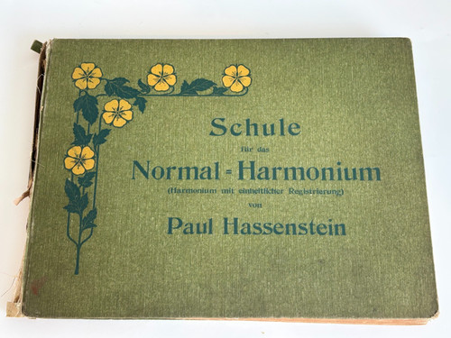 1904 paul hassenstein scuola - hassenstein,