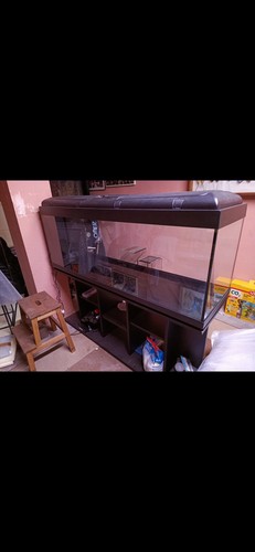 Acquario usato completo 370lt - acquario,