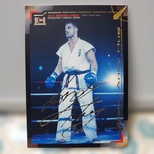 K-1 GRAND PRIX Andy Hug