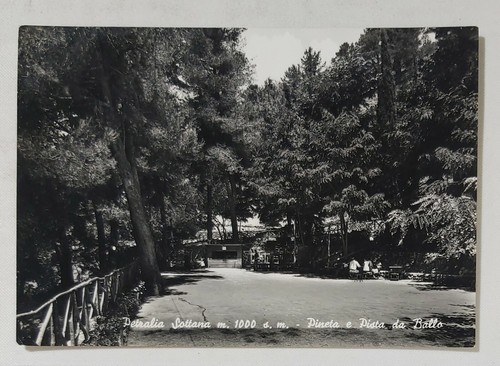 98196 7134 cartolina - 98196, palermo