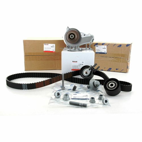 Kit distribuzione pompa - kit, +