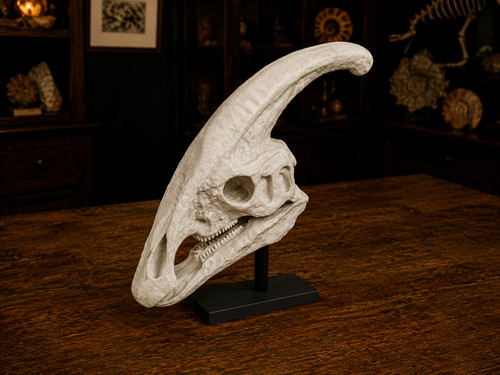 Printed parasaurolophus - 3d,
