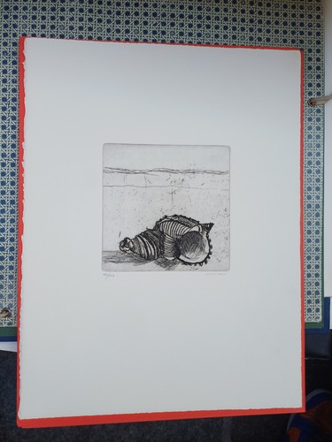 Bruno cassinari incisione - bruno,