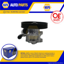 Power Steering Pump fits FIAT