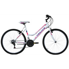 Bici 24 MTB 18 velocità