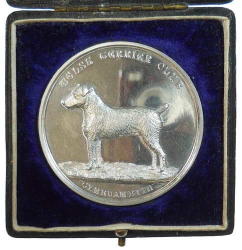 Gran bretagna cane - bretagna, welsh