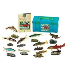 Colorata giapponese pesce