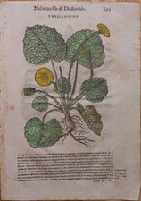 Mattioli Pietro - Stampa