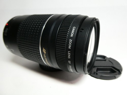 Canon 300 5 6 - canon, 75-300