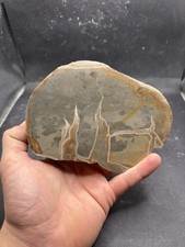 Minerali septaria panaro - minerali, **
