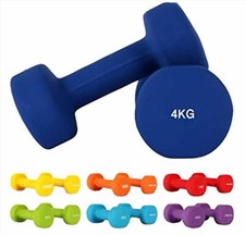 PESI PALESTRA PESETTI MANUBRIO MANUBRI 2 3 4 KG FITNESS BILANCIERE ESERCIZI PESO