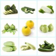 Zucchine Mix – 20 Semi –