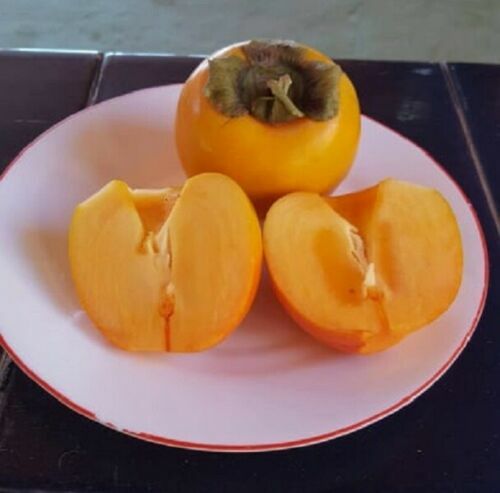 Caqui diospyros - diospyros, kaki