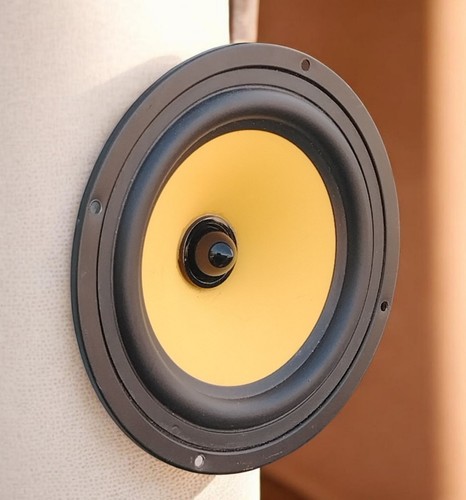 Woofer altoparlante - woofer,