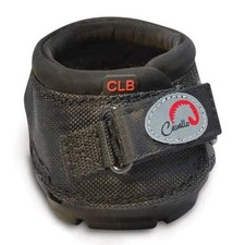 Cavallo Cute Little Regular