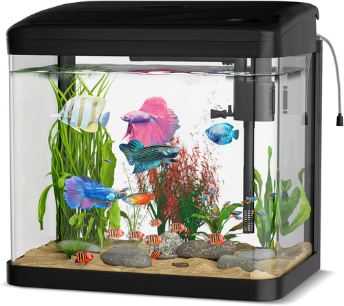 Acquario piccolo vetro - vetro,,