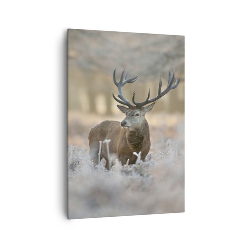 Quadro tela 70x100cm cervo - su,