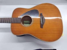 Chitarra elettrica acustica