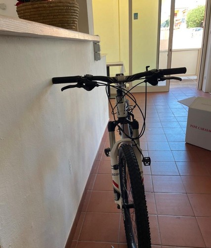 Bicicletta mountain bike - mountain,