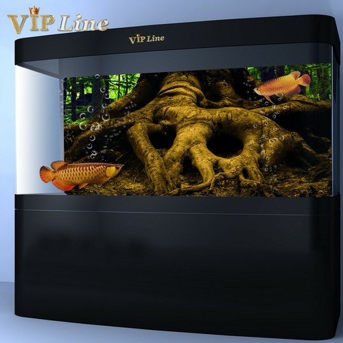 Poster sfondo acquario - , grande